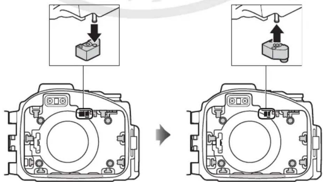 NIKON WPN3 - 重要提示！ - 3