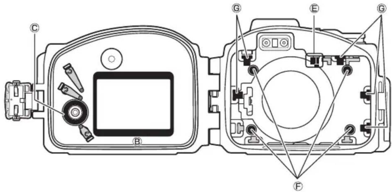 NIKON WPN3 - Cuscinetto laterale (× 5) - 2
