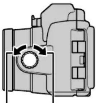 NIKON WPN3 - Wahlen Sie den Bildausschnitt. - 1