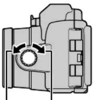 NIKON WPN3 - Frame the shot. - 1