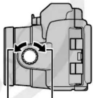 NIKON WPN3 - 构图。 - 1