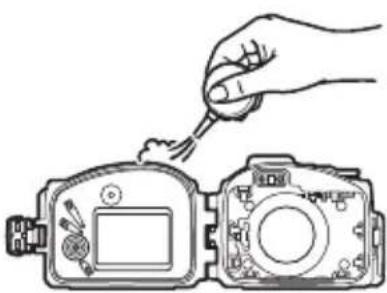 NIKON WPN3 - Inspeccione la guia de la junta tórica. - 1