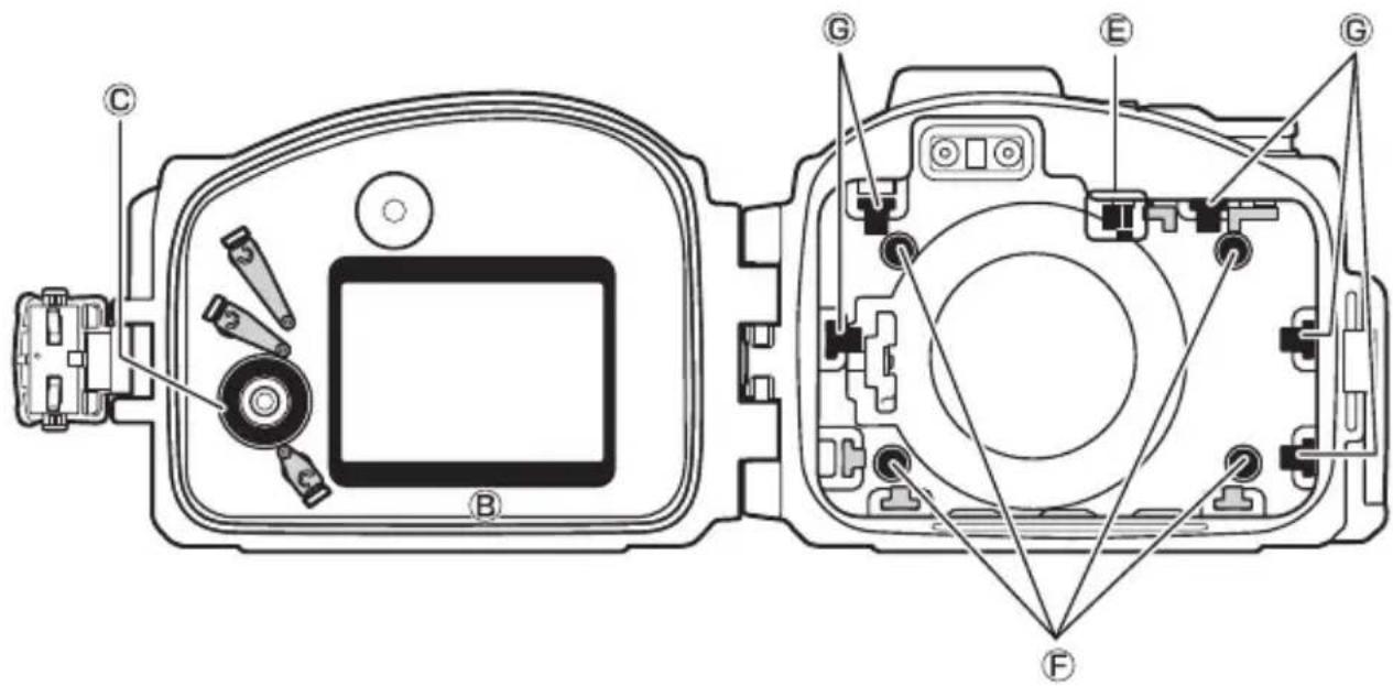 NIKON WPN3 - Seitliches Polster (× 5) - 2