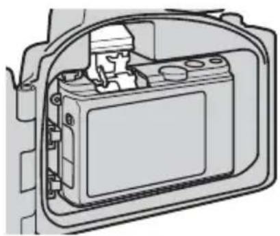 NIKON WPN3 - V 个中音 - 1
