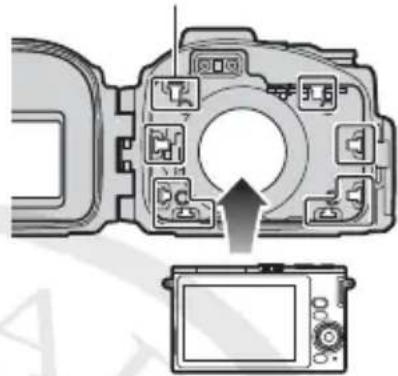 NIKON WPN3 - 装入照相机。 - 1