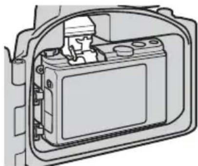 NIKON WPN3 - Flashes sous-marins - 1