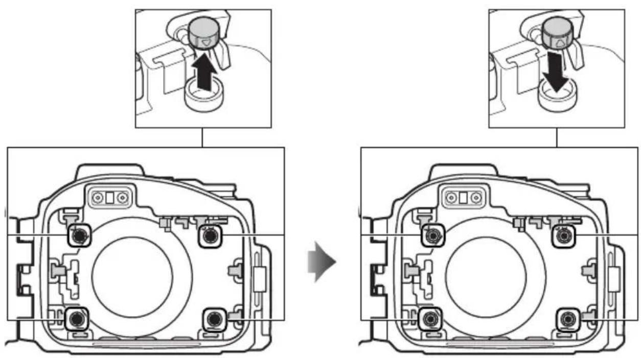 NIKON WPN3 - Cuscinetto anteriore (× 4) - 1
