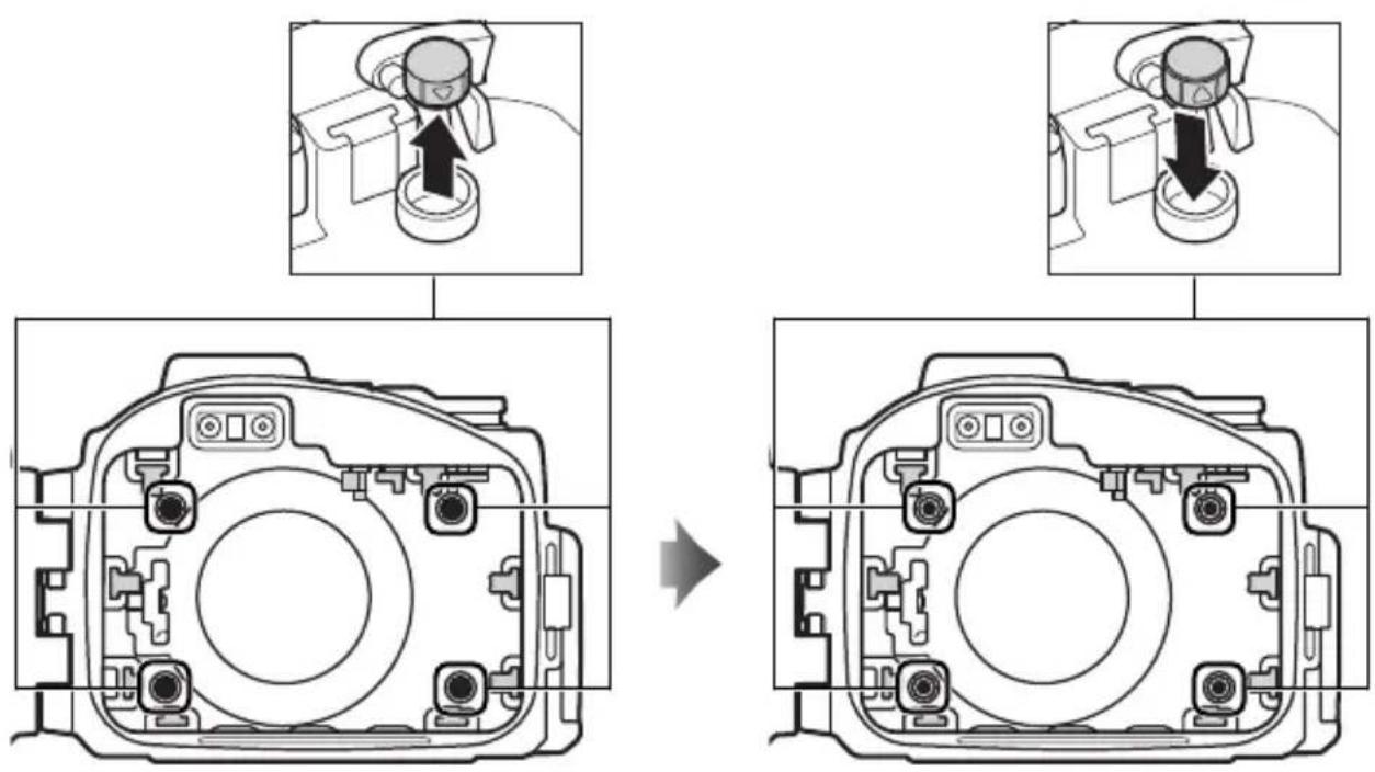 NIKON WPN3 - ⑥ トクssn（4所） - 1