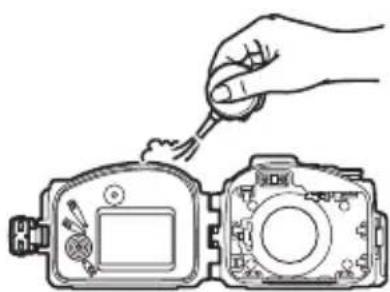 NIKON WPN3 - リング満を点検する - 1