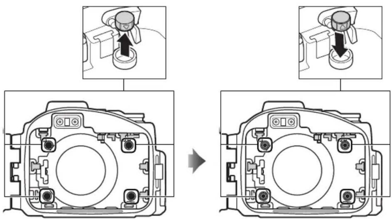 NIKON WPN3 - F - 1