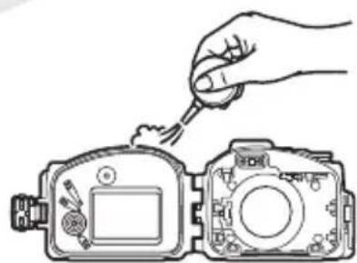NIKON WPN3 - 检查O型环导槽。 - 1