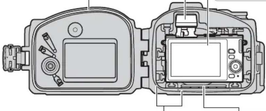 NIKON WPN3 - 外法拉到实同 - 1