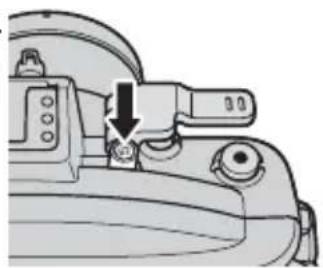 NIKON WPN3 - トマーダリ ヤリ。 - 1