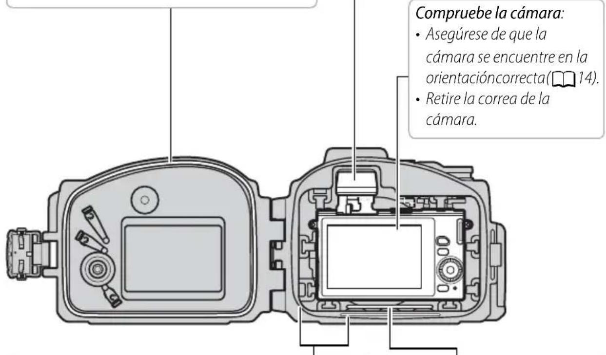 NIKON WPN3 - Compruebe la junta tórica: - 1