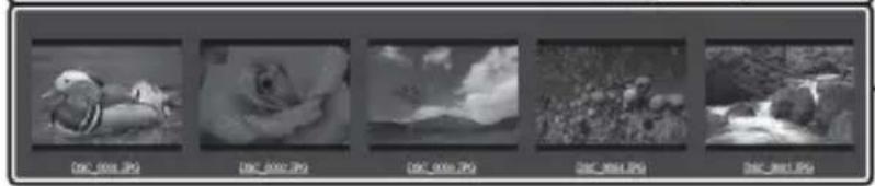 NIKON UT1 - □Affichage film fixe - 2