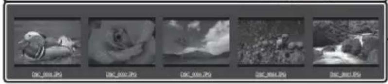 NIKON UT1 - □Affichage film fixe - 2