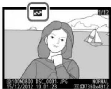 NIKON UT1 - : « Encours d'envoi » - 1