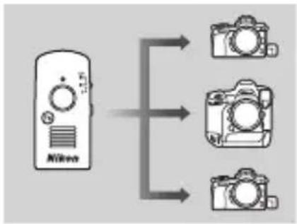 NIKON WRR11a - Déclenchement simultané avec la WR-T10 - 1