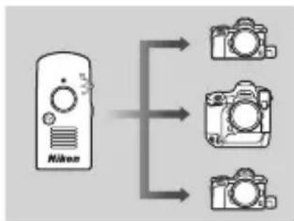 NIKON WRR11a - ■ Déclenchement simultané avec la WR-T10 - 1
