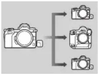 NIKON WRR11a - Déclenchement synchronisé avec la WR-R11a/WR-R11b - 1