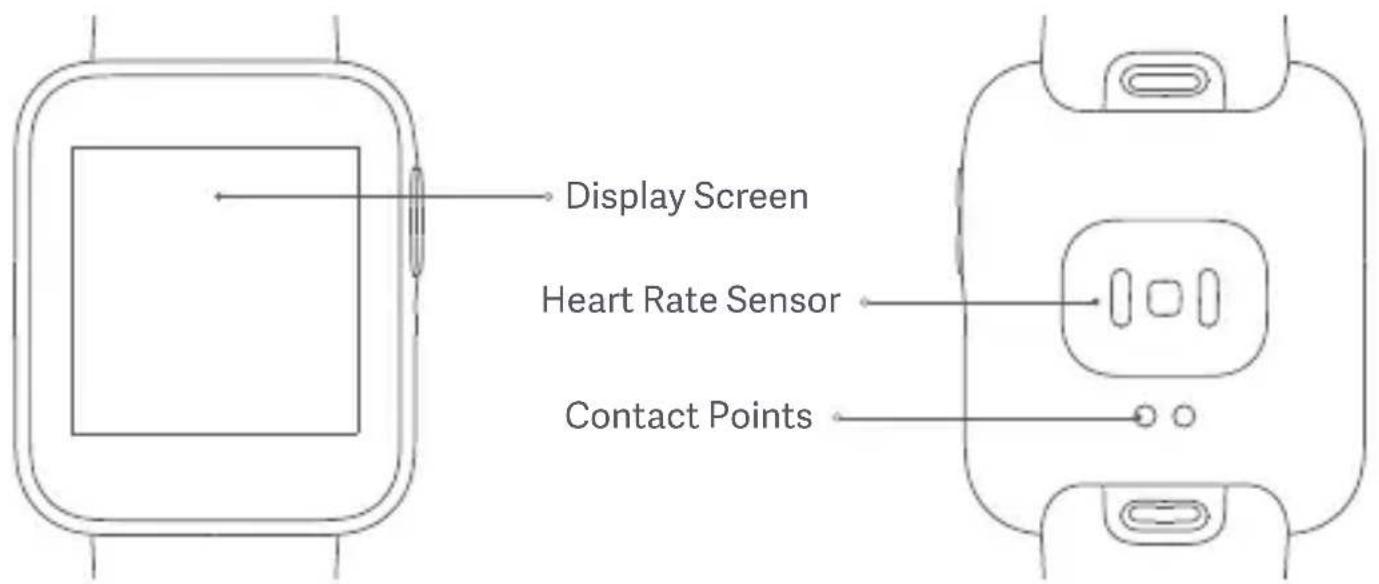 Display Screen Heart Rate Sensor Contact Points