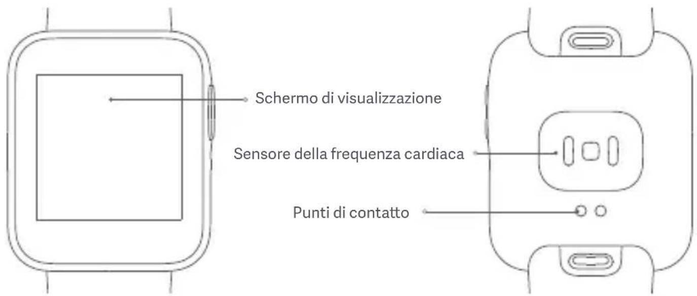 Schermo di visualizzazione Sensore della frequenza cardiaca Punti di contatto
