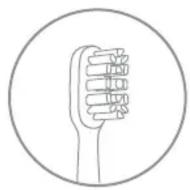 Xiaomi Mi Electric Toothbrush Head - 2