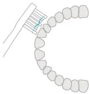 Xiaomi Mi Electric Toothbrush Head - Standard - 3
