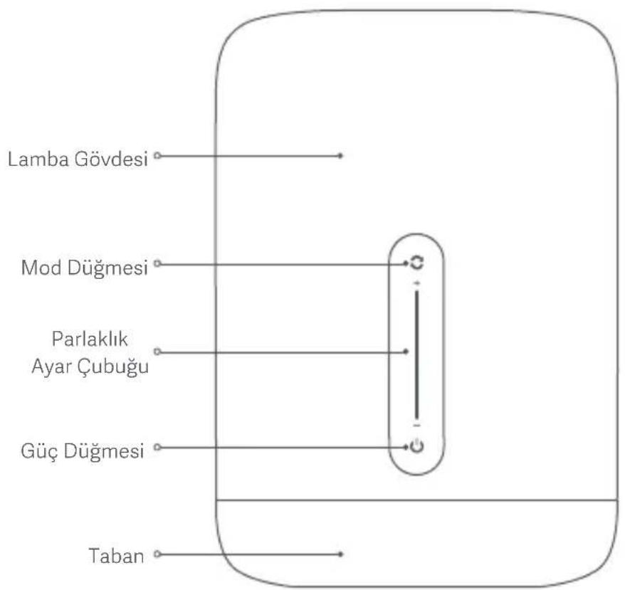 Lamba Gövdesi Mod Düğmesi Parlaklık Ayar Çubuğu Güç Düğmesi Taban