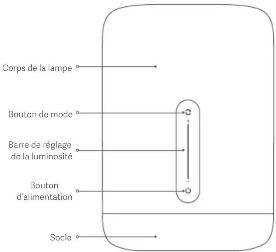 Corps de la lampe Bouton de mode Barre de réglage de la luminosité Bouton d'alimentation Socle