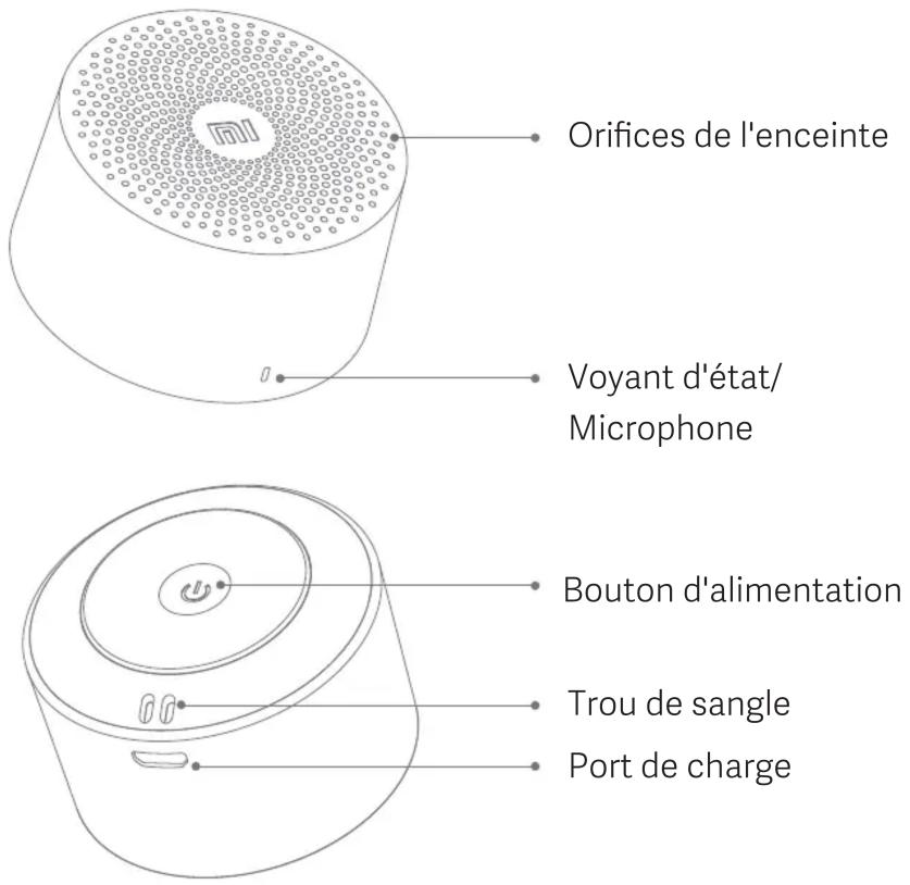 Orifices de l'enceinte Voyant d'état/ Microphone Bouton d'alimentation Trou de sangle Port de charge