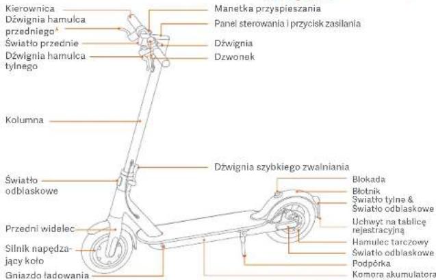 Xiaomi Mi Electric Scooter Essential - Instrukcje dotyczne bezpieczeste sta - 1