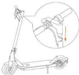 Xiaomi Mi Electric Scooter Essential - 12