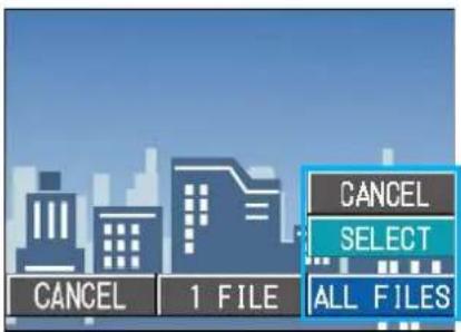 CANCEL 1 FILE CANCEL SELECT ALL FILES