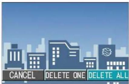 CANCEL DELETE ONE DELETE ALL
