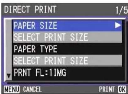 DIRECT PRINT 1/5 PAPER SIZE SELECT PRINT SIZE PAPER TYPE SELECT PRINT SIZE PRINT FL:1IMG MENU CANCEL PRINT OK
