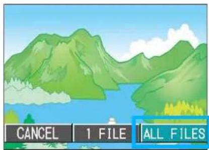 CANCEL | 1 FILE | ALL FILES