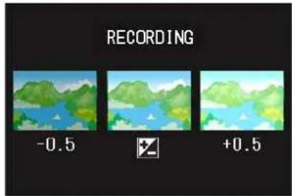 RECORDING -0.5 +0.5