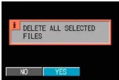 DELETE ALL SELECTED FILES NO YES