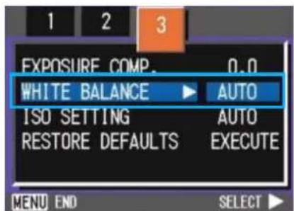 EXPOSURE COMP. 0.0 WHITE BALANCE AUTO ISO SETTING AUTO RESTORE DEFAULTS EXECUTE MENU END SELECT