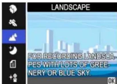 LANDSCAPE FOR RECORDING LANDSCAPES WITH LOTS OF GREENERY OR BLUE SKY. OK