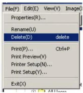 File(F) Edit(E) View(V) Image(I) Properties(R)... Rename(U) Delete(D) delete Print(P)... Ctrl+P Print Preview(V) Printer Setup(N)... Print Setup(Y)... Exit(X)