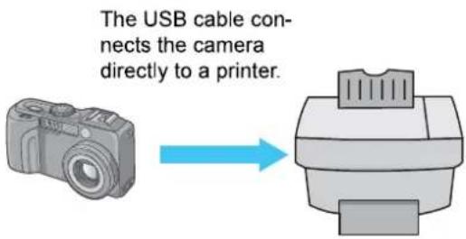 The USB cable connects the camera directly to a printer.