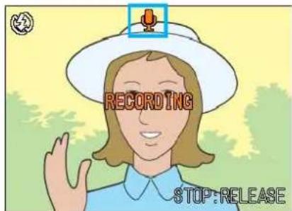 RECORDING STOP:RELEASE