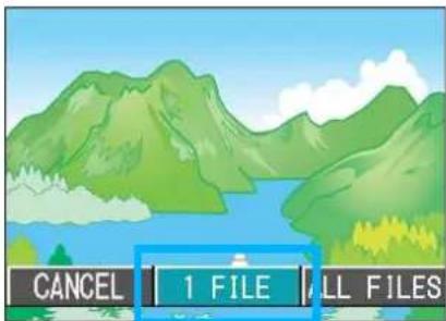 CANCEL 1 FILE ALL FILES