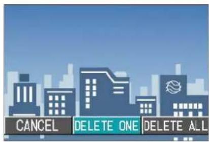 CANCEL DELETE ONE DELETE ALL