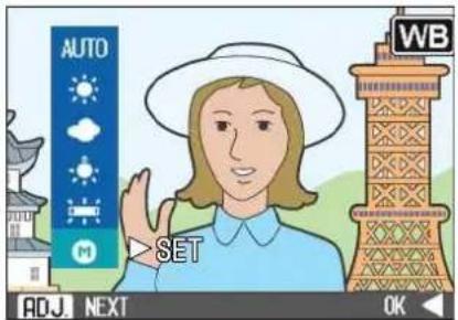 AUTO > SET ADJ. NEXT OK