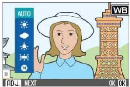 AUTO ADJ. NEXT OK OK