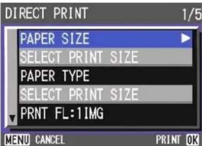 DIRECT PRINT 1/5 PAPER SIZE SELECT PRINT SIZE PAPER TYPE SELECT PRINT SIZE PRINT FL:1IMG MENU CANCEL PRINT OK