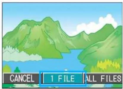 CANCEL 1 FILE ALL FILES